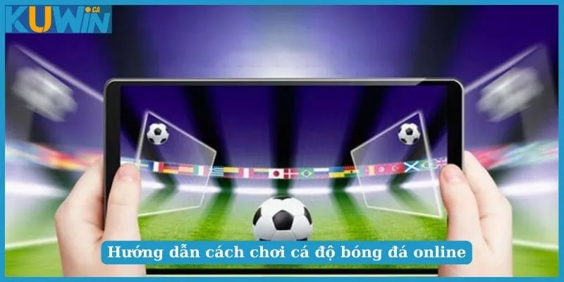 Lời khuyên vàng từ cao thủ dành cho người chơi cá độ