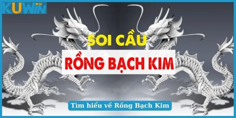 Bí Quyết Soi Cầu Rồng Bạch Kim Chuẩn Chỉnh Cho Tân Thủ 5 Bí quyết chơi Rồng Bạch Kim hiệu quả